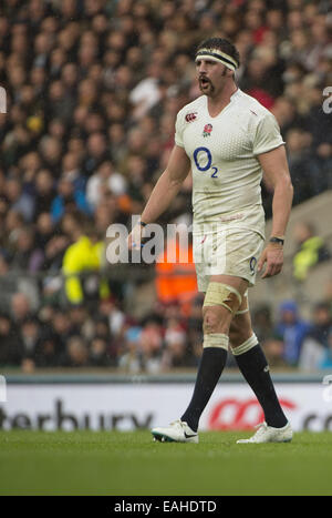 London, Middlesex, Royaume-Uni. 15 Nov, 2014. 15 novembre 2014 Angleterre Flanker TOM WOOD au cours de l'Angleterre -V- Afrique du Sud match à Twickenham : Steve Flynn-ZUMA Press Crédit : Steve Flynn/ZUMA/Alamy Fil Live News Banque D'Images