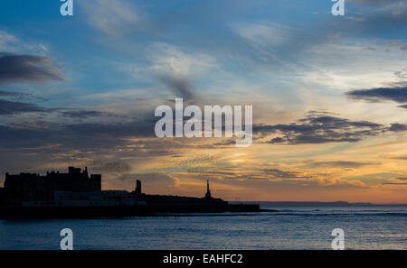 Un murmuration d'étourneaux sur la célèbre promenade de Aberystwyth au coucher du soleil. Banque D'Images