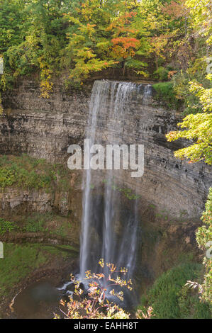 Le Shurvin Tews Falls, Mile, Dundas, Hamilton, Ontario, Canada Banque D'Images