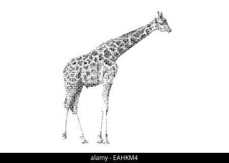 Mot d'être mixtes Girafe Girafe, figure de style avec la typographie, isolé sur fond blanc Banque D'Images