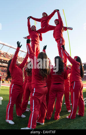 15 novembre 2014 : Une cheerleader chevaliers écarlates Rutgers fait un split le haut de la pyramide qu'ils effectuent pendant le jeu entre l'Indiana Hoosiers et Rutgers Scarlet Knights à Highpoint Solutions Stadium à Piscataway, New Jersey Le Rutgers Scarlet Knights à l'encontre de l'Indiana Hoosiers 45-23. Crédit obligatoire : Kostas Lymperopoulos/CSM, Banque D'Images