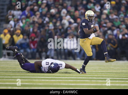 Les heures supplémentaires. 15 Nov, 2014. Notre Dame quarterback Everett Golson (5) s'exécute avec la balle comme le nord-ouest de poseur de défensive Deonte Gibson (13) poursuit en NCAA Football action de jeu entre la Cathédrale Notre Dame Fighting Irish et le nord-ouest à des Wildcats Stade Notre-dame à South Bend, Indiana. Le nord-ouest de Notre Dame défait 43-40 en prolongation. © csm/Alamy Live News Banque D'Images