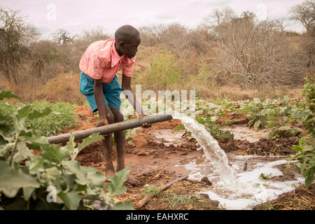 Une jeunesse irrigue une ferme maraîchère dans le comté de Makueni, au Kenya, Afrique de l'Est. Banque D'Images