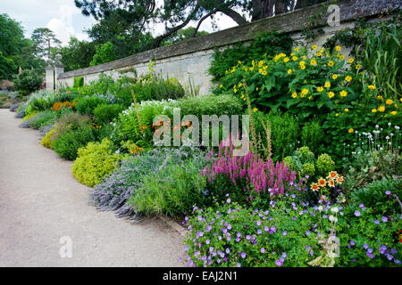 Une frontière herbacées colorées dans les jardins botaniques de l'Université Oxford en Angleterre Banque D'Images