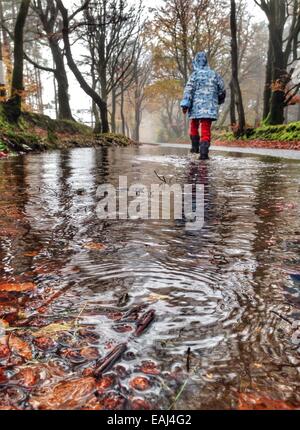 Haldon Forest, Devon, UK. Le 16 novembre, 2014. Météo britannique. Avoir un temps d'éclaboussures au maximum de temps humide. Jack Porter (6) et ses parents ayant un temps d'éclaboussures dans Haldon Forest après de fortes pluies. Nidpor Crédit/Alamy Live News Banque D'Images