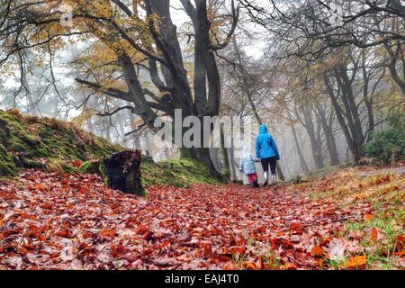 Haldon Forest, Devon, UK. Le 16 novembre, 2014. Météo britannique. Avoir un temps d'éclaboussures au maximum de temps humide. Jack Porter (6) et ses parents ayant un temps d'éclaboussures dans Haldon Forest après de fortes pluies. Nidpor Crédit/Alamy Live News Banque D'Images