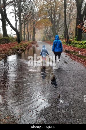 Haldon Forest, Devon, UK. Le 16 novembre, 2014. Météo britannique. Avoir un temps d'éclaboussures au maximum de temps humide. Jack Porter (6) et ses parents ayant un temps d'éclaboussures dans Haldon Forest après de fortes pluies. Nidpor Crédit/Alamy Live News Banque D'Images