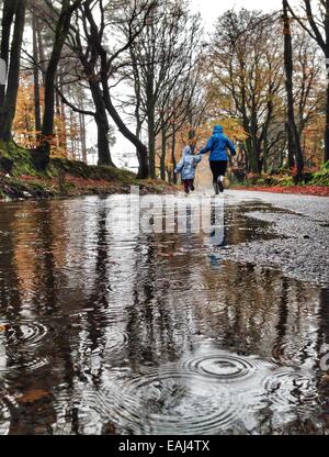 Haldon Forest, Devon, UK. Le 16 novembre, 2014. Météo britannique. Avoir un temps d'éclaboussures au maximum de temps humide. Jack Porter (6) et ses parents ayant un temps d'éclaboussures dans Haldon Forest après de fortes pluies. Nidpor Crédit/Alamy Live News Banque D'Images