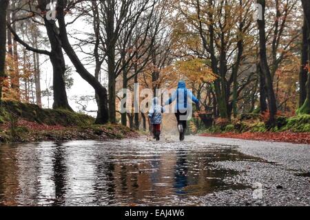 Haldon Forest, Devon, UK. Le 16 novembre, 2014. Météo britannique. Avoir un temps d'éclaboussures au maximum de temps humide. Jack Porter (6) et ses parents ayant un temps d'éclaboussures dans Haldon Forest après de fortes pluies. Nidpor Crédit/Alamy Live News Banque D'Images