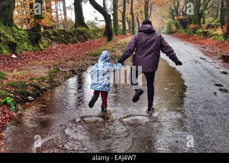 Haldon Forest, Devon, UK. Le 16 novembre, 2014. Météo britannique. Avoir un temps d'éclaboussures au maximum de temps humide. Jack Porter (6) et ses parents ayant un temps d'éclaboussures dans Haldon Forest après de fortes pluies. Nidpor Crédit/Alamy Live News Banque D'Images