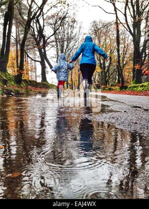 Haldon Forest, Devon, UK. Le 16 novembre, 2014. Météo britannique. Avoir un temps d'éclaboussures au maximum de temps humide. Jack Porter (6) et ses parents ayant un temps d'éclaboussures dans Haldon Forest après de fortes pluies. Nidpor Crédit/Alamy Live News Banque D'Images