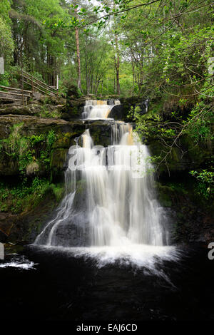 Cascade Glenbarrow montagnes de Slieve Bloom Clonaslee Laois Irlande barrow falls chutes d'écoulement de flux RM L'Irlande Banque D'Images