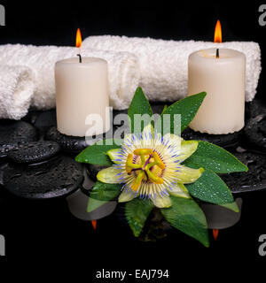 Spa still life of passiflora fleur, feuille verte avec des serviettes, et des bougies sur le zen pierres dans l'eau, réflexion libre Banque D'Images