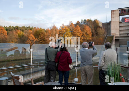 Réduite à bord du navire de croisière Viking Hlin prendre des photos des arbres en couleurs d'automne par l'entrée de la serrure Leerstetten sur le canal Main-Danube Banque D'Images