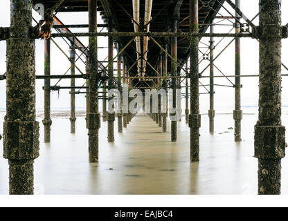 Sous le fer à repasser, barnacle incrusté de structure de la jetée de Southend on sea. Banque D'Images