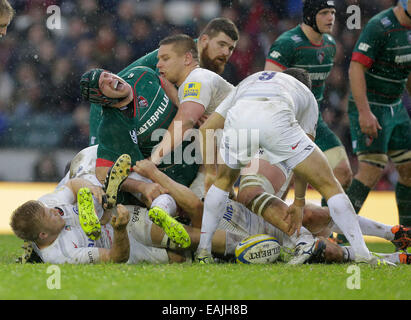 Leicester, Royaume-Uni. 16 Nov, 2014. Julian Salvi de Leicester Tigers dans la douleur lors d'un ruck - Rugby Union - Aviva Premiership - Leicester Tigers vs Saracens - Saison 2014/15 - 16 novembre 2014 - Photo Malcolm Couzens/Sportimage. Credit : csm/Alamy Live News Banque D'Images