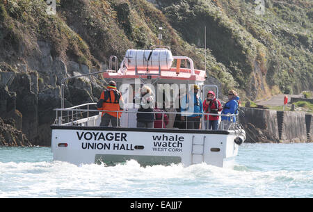 Les observateurs de baleines sur le bateau de Nic Slocum 'Voyager' sur une observation des baleines et la vue voyant trip off Cape Clear West Cork en Irlande. Banque D'Images