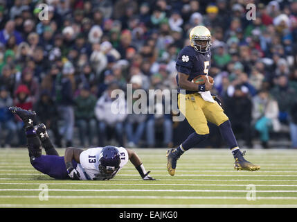 Les heures supplémentaires. 15 Nov, 2014. Notre Dame quarterback Everett Golson (5) s'exécute avec la balle comme le nord-ouest de poseur de défensive Deonte Gibson (13) poursuit en NCAA Football action de jeu entre la Cathédrale Notre Dame Fighting Irish et le nord-ouest à des Wildcats Stade Notre-dame à South Bend, Indiana. Le nord-ouest de Notre Dame défait 43-40 en prolongation. © csm/Alamy Live News Banque D'Images