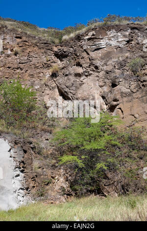 Diamond Head Crater - Oahu, Hawaii Banque D'Images