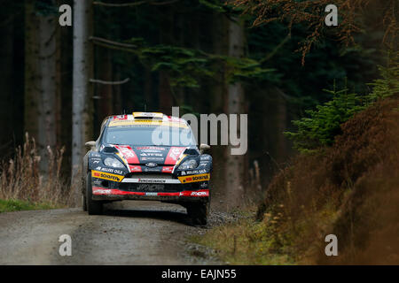 Cerrigydrudion, au Pays de Galles. 16 Nov, 2014. FIA World Rally Championship, Wales Rally GB. Martin Prokop et Jan Tomanek de République tchèque la concurrence dans l'Jipocar Czech National Team Ford Fiesta RS WRC au cours de l'étape 1 jour sur Alwen quatre. Credit : Action Plus Sport/Alamy Live News Banque D'Images