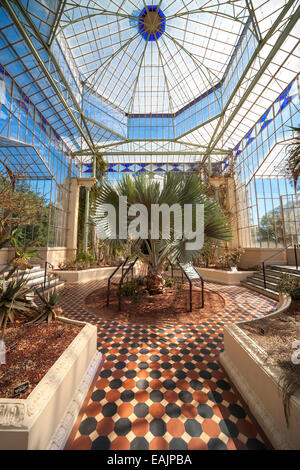 Adelaide Botanic Garden Palm House ancienne serre victorienne de 1876. Conçue par Gustav Runge préfabriquée en Bremen. Banque D'Images