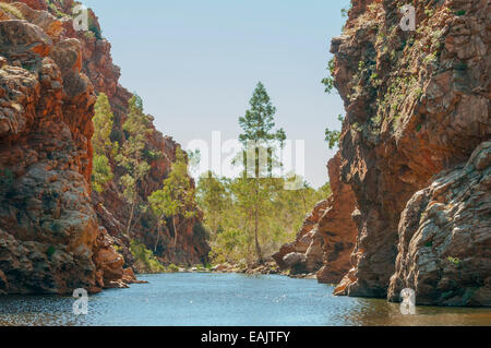 Ellery Creek Big Hole, West MacDonnells, NT, Australie Banque D'Images
