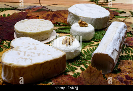 Différents fromages français placé sur à table en bois avec les feuilles d'automne Banque D'Images