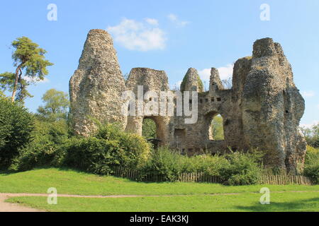 Odiham Castle, à côté du canal de Basingstoke près de North Warnborough, Odiham, Hampshire, England, UK Banque D'Images