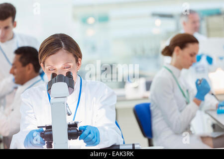 En vertu de l'exemple de l'examen scientifique microscope in laboratory Banque D'Images