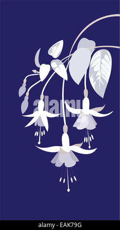 Succursale de fuchsia Banque D'Images