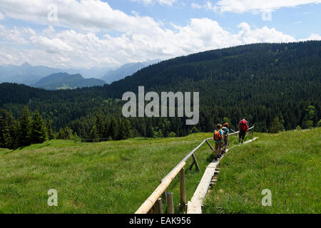 Les randonneurs, père, 45, filles, fils, 11, 13, balade le long de la promenade sur l'Kappeler Alp, Nesselwang, souabe, Bavière Banque D'Images