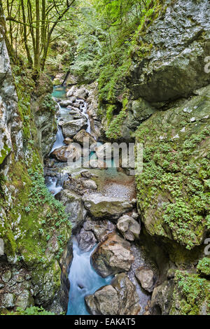 Tolmin Gorge, Route d'Émeraude, le parc national du Triglav, Tolmin, Goriska, Slovénie Banque D'Images