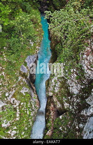 Tolmin Gorge, Route d'Émeraude, le parc national du Triglav, Tolmin, Goriska, Slovénie Banque D'Images