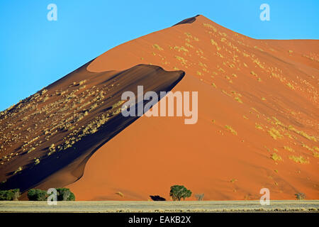 Dunes de sable énormes dans la lumière du soir, Sossusvlei, Désert du Namib, le Namib Naukluft Park, Namibie Banque D'Images