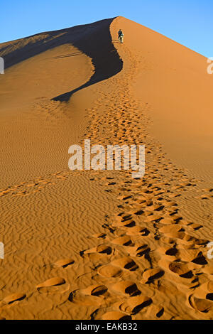 Escalade La Dune 45 touristes dans la lumière du soir, Sossusvlei, Désert du Namib, le Namib Naukluft Park, Namibie Banque D'Images