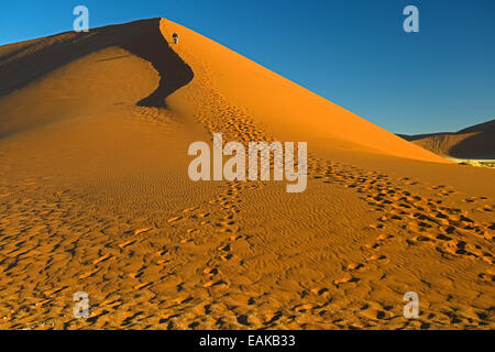 Escalade La Dune 45 touristes dans la lumière du soir, Sossusvlei, Désert du Namib, le Namib Naukluft Park, Namibie Banque D'Images