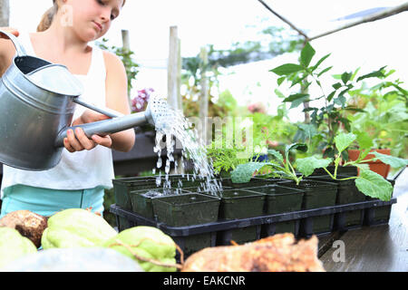 Girl watering potted plants avec arrosoir in greenhouse Banque D'Images