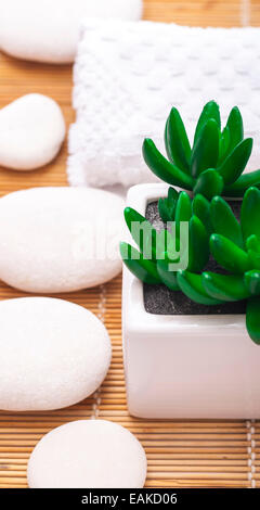 Paramètres de Spa bambou mince beige mat : fleur vert, pierres, serviette et mat. Banque D'Images