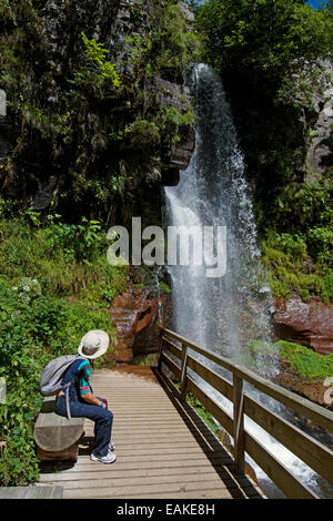 Cascade du saut de la truite, la vallée de Brezons, Cantal, Auvergne, France, Europe Banque D'Images