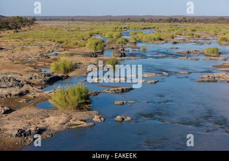Le parc national Kruger, AFRIQUE DU SUD - Olifants River. Banque D'Images