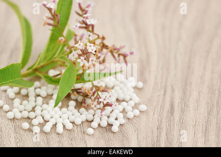 Les granules homéopathiques éparpillées sur une table en bois avec une plante médicinale Banque D'Images
