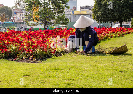 Jardinier femme portant Chapeau conique traditionnel tout en travaillant dans un parc à Ho Chi Minh Ville, Vietnam Banque D'Images