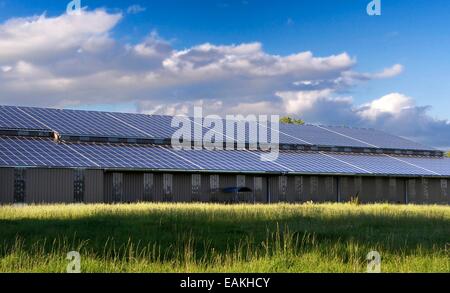 Des panneaux solaires sur le toit d'un hangar, Cantal, Auvergne, France Banque D'Images