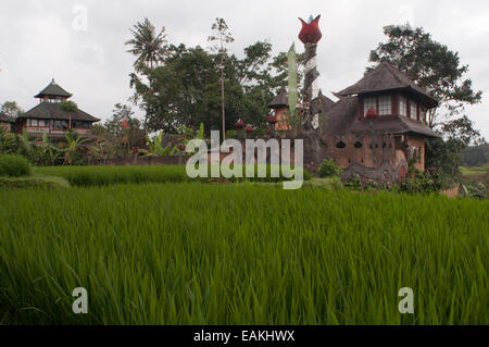 Terrasses de riz dans un point de vue à Tegallalang, 12 km d'Ubud. Bali. Champ de riz situé autour du temple dans le Gunung Kaki 100 Banque D'Images