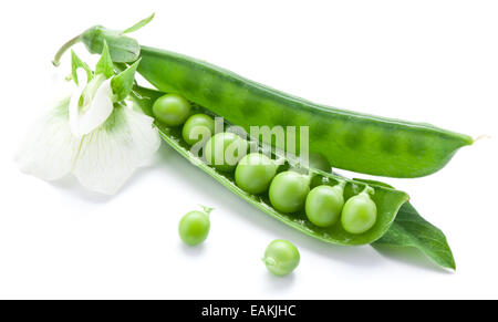 Les petits pois frais sont contenues à l'intérieur d'un groupe isolé sur un fond blanc. Banque D'Images