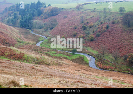 La rivière serpentant à travers Barle Exmoor National Park près de Simonsbath dans Somerset , Angleterre Banque D'Images