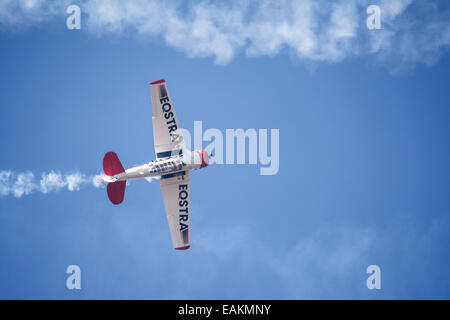 Harvard à l'envers pendant le Lowveld Air Show Banque D'Images