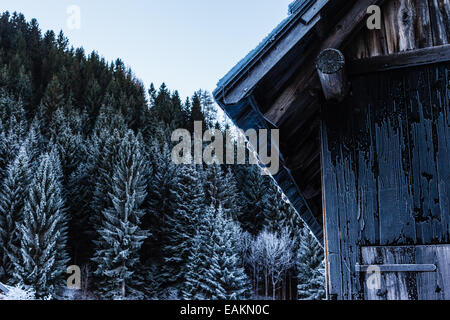 Détail d'une cabine congelé éloignées et isolées dans les bois en hiver Banque D'Images