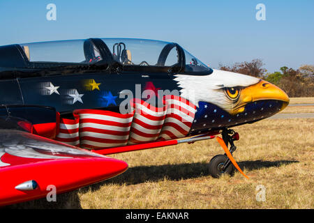 L'Autrichien Eagle Aero L-29 Delfin au Lowveld Air Show Banque D'Images