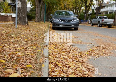 Les feuilles tombées dans le parc du patrimoine de la ville résidentielle quartier Saskatoon Saskatchewan Canada Banque D'Images